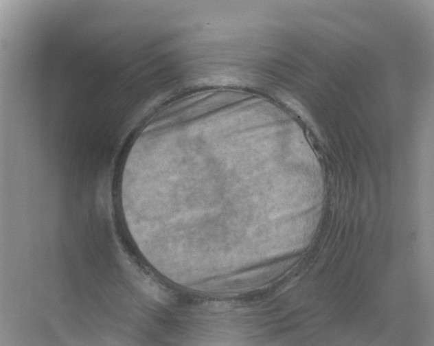 X0000070190482200606232016