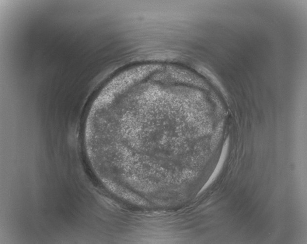 X0000070190483200606232016