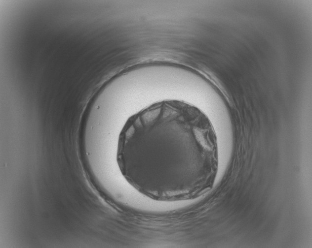 X0000070190485200606232016