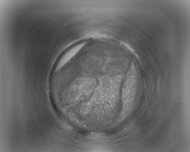 X0000070190487200606232016