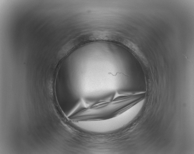 X0000070190489200606232016