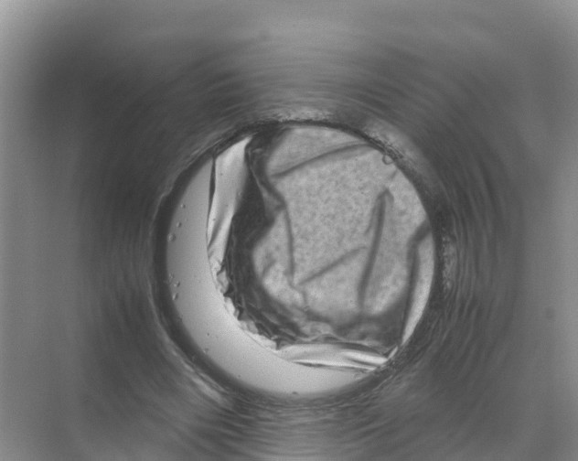 X0000070190490200606232016