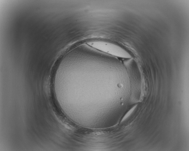 X0000070190492200606232016