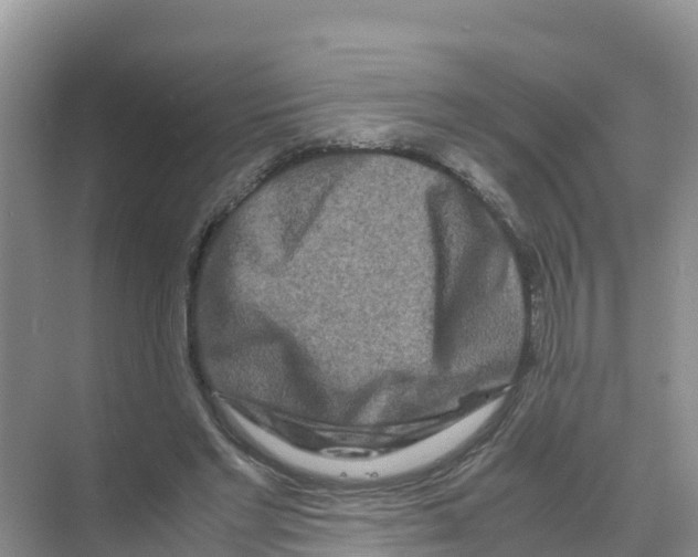 X0000070190493200606232016