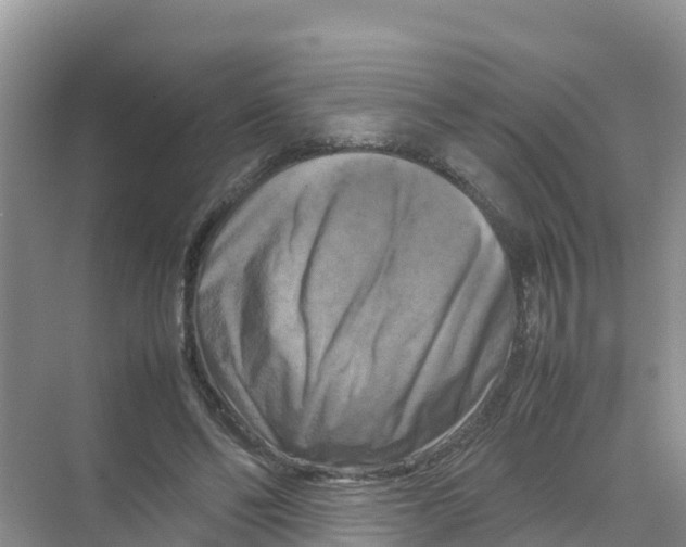 X0000070190494200606232016