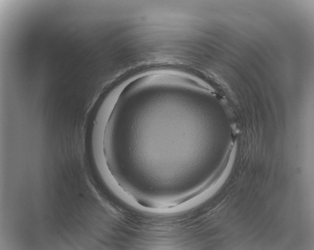 X0000070190496200606232016