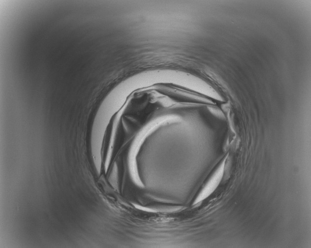 X0000070190497200606232016