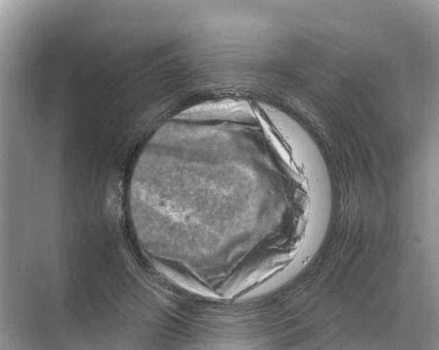 X0000070190498200606232016