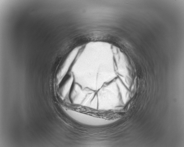 X0000070190499200606232016