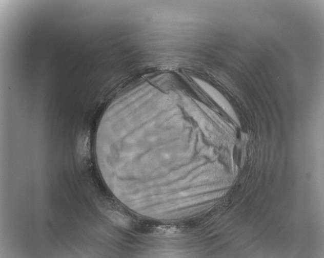 X0000070190502200606232016