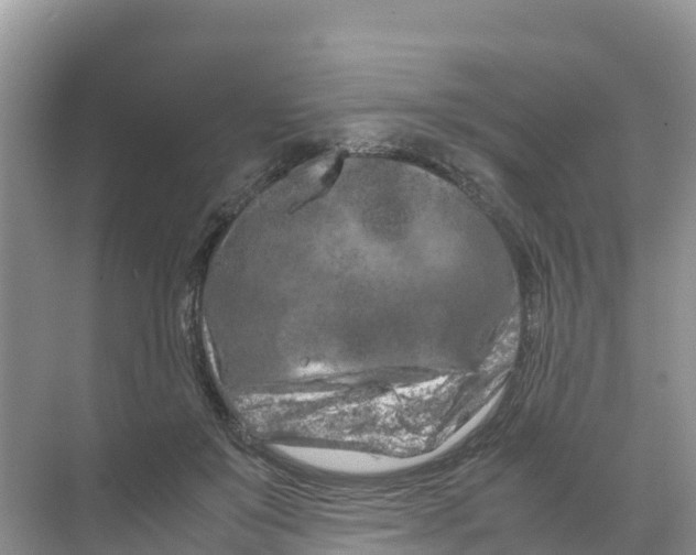 X0000070190503200606232016