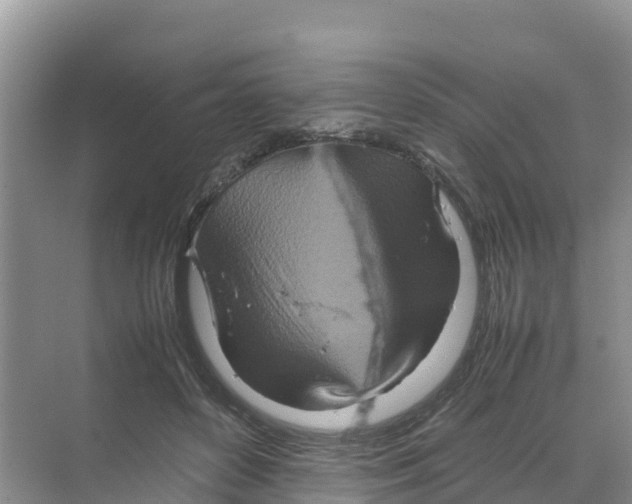 X0000070190504200606232016