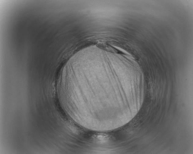 X0000070190506200606232016