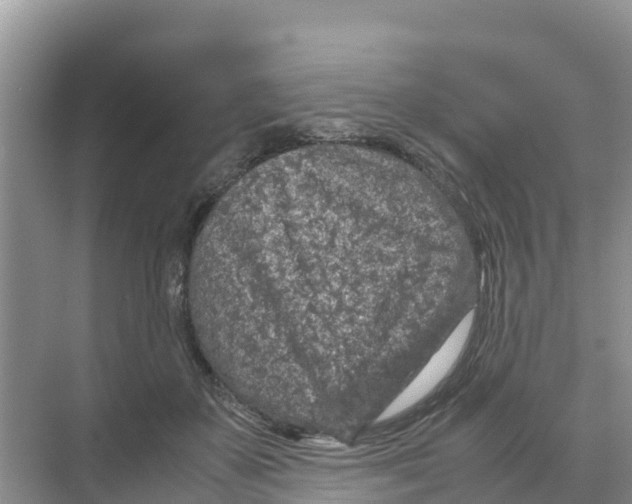 X0000070190507200606232016