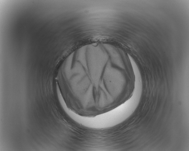 X0000070190508200606232016