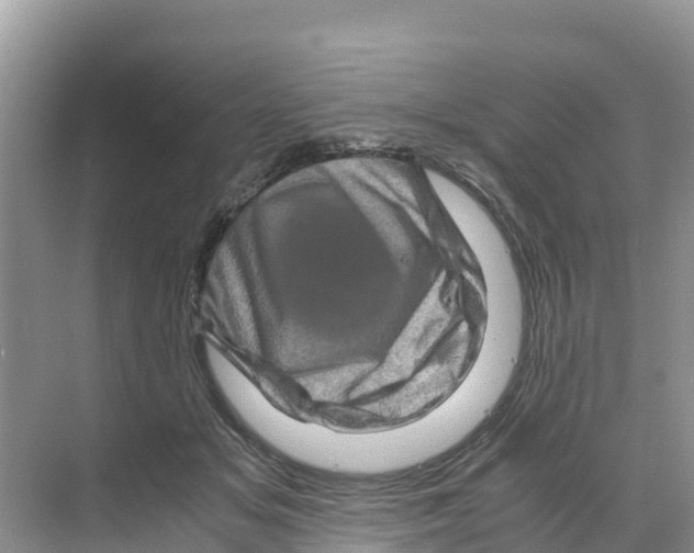 X0000070190509200606232016