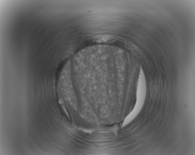 X0000070190510200606232016