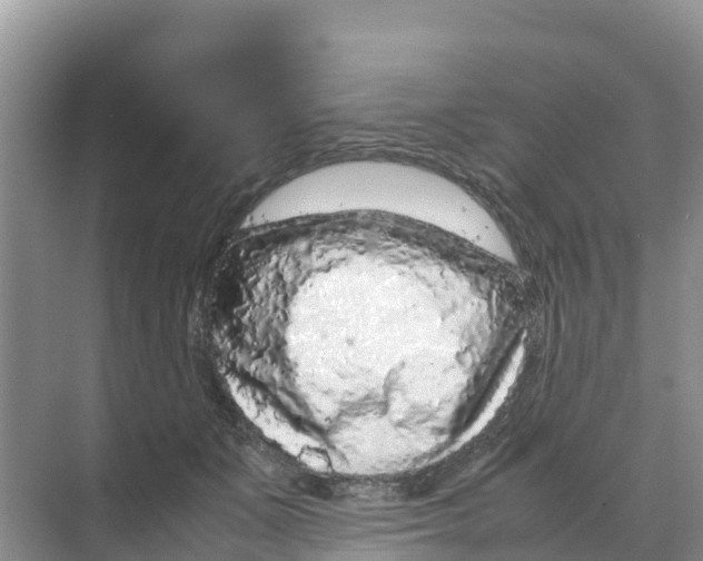 X0000070190511200606232016