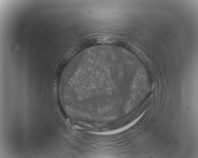 X0000070190513200606232016