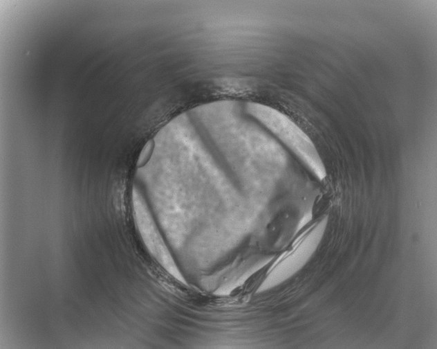 X0000070190514200606232016