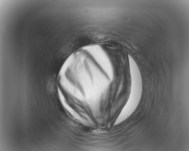 X0000070190515200606232016