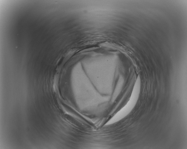 X0000070190516200606232016