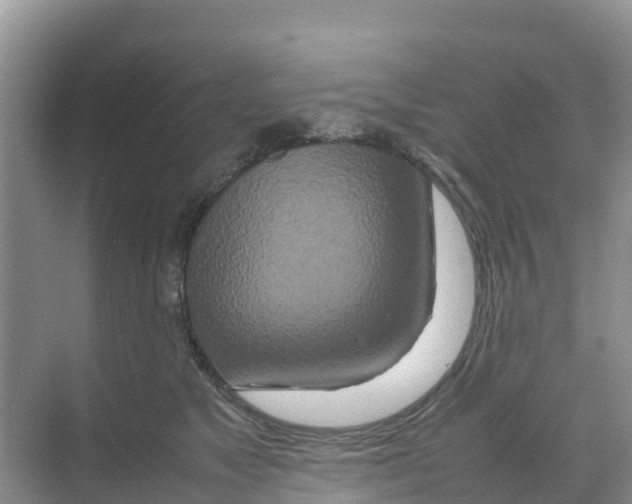 X0000070190517200606232016