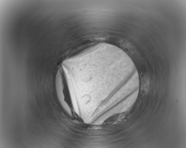 X0000070190518200606232016