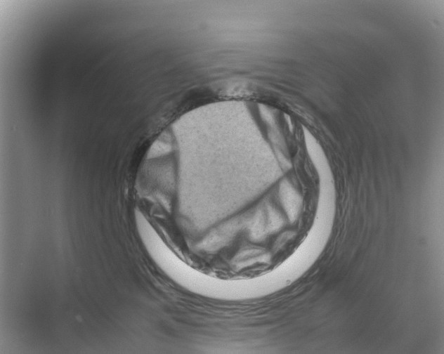 X0000070190521200606232016