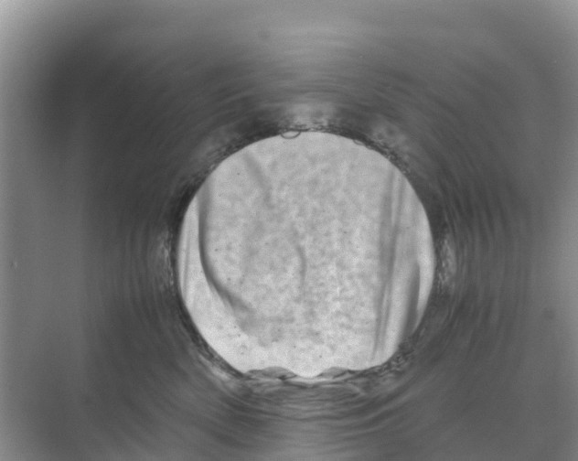 X0000070190522200606232016