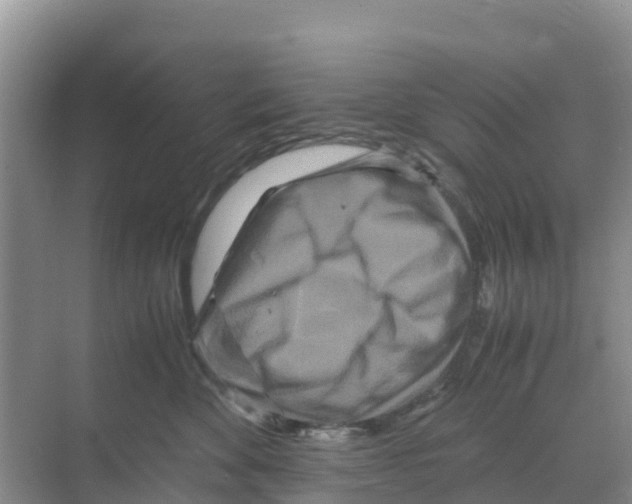 X0000070190524200606232016