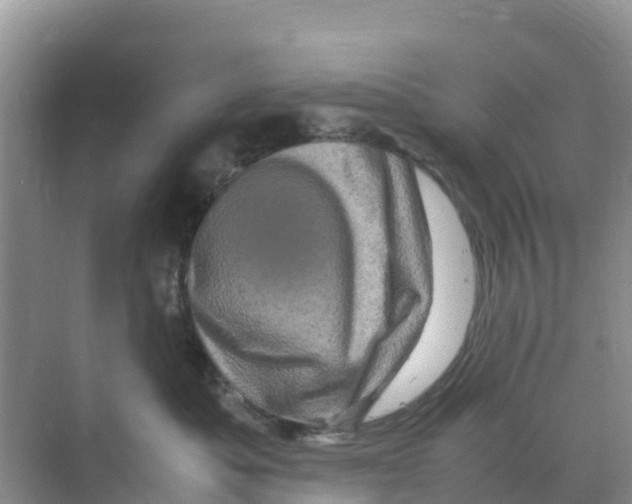 X0000070190525200606232016