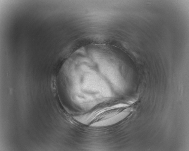 X0000070190528200606232016