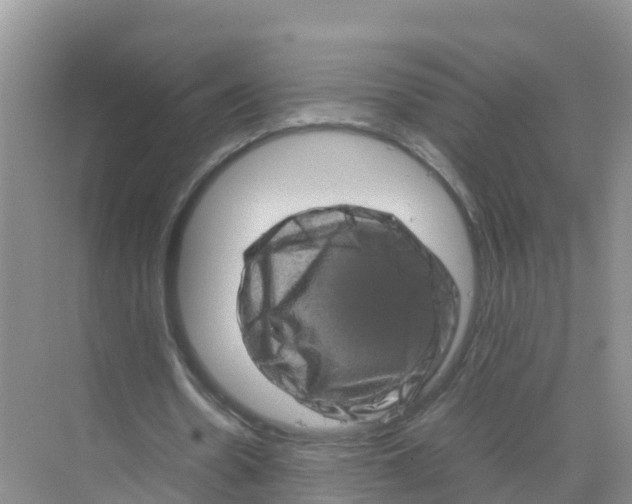 X0000070190530200606232015