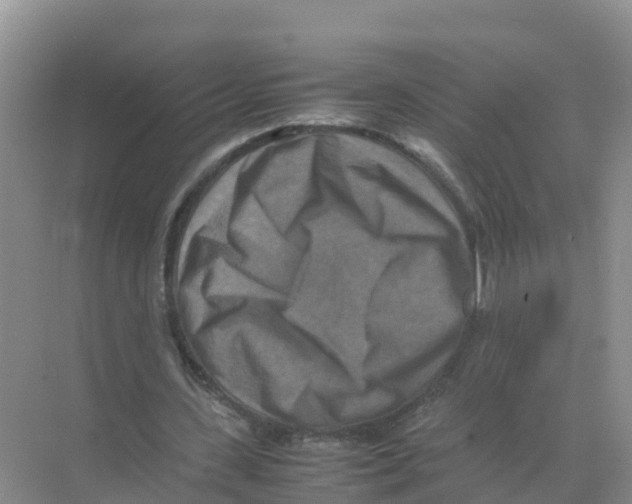 X0000070190531200606232015