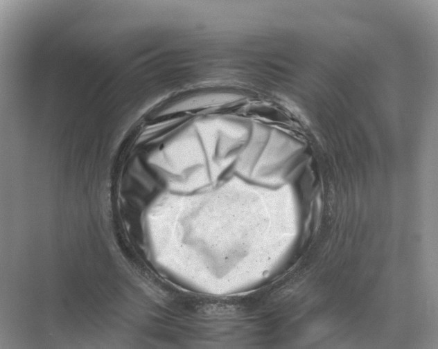 X0000070190535200606232015