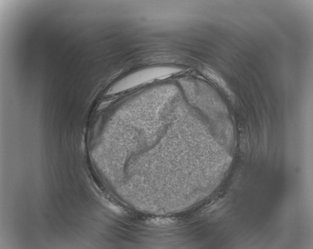 X0000070190537200606232015