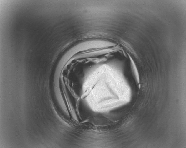 X0000070190538200606232015