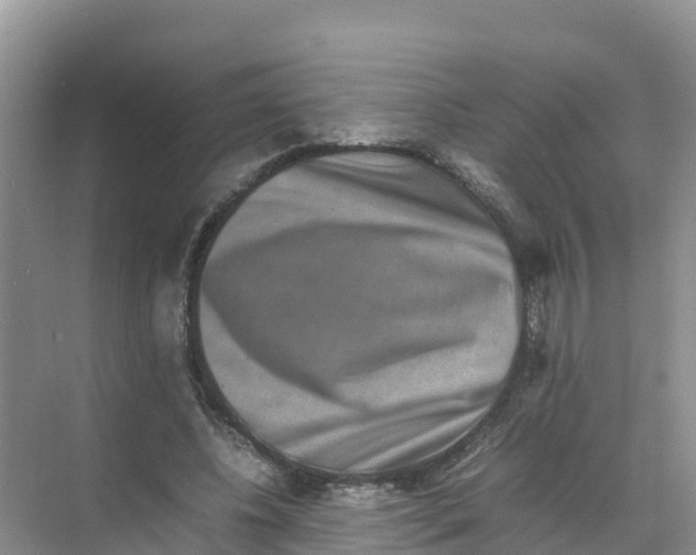 X0000070190540200606232015