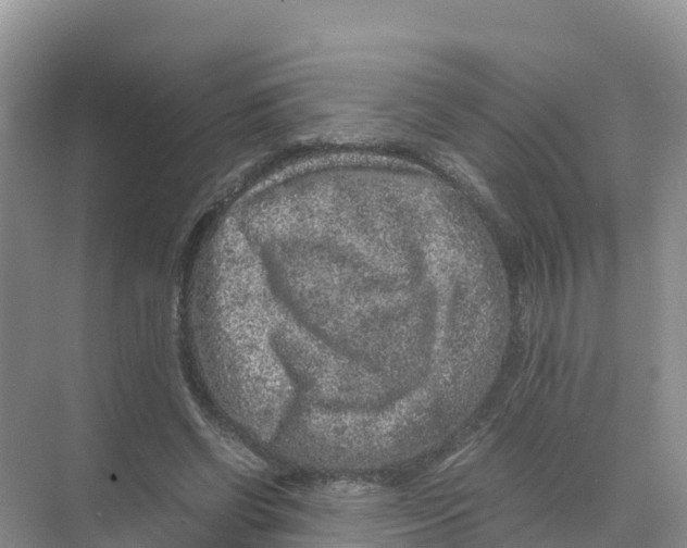 X0000070190542200606232015