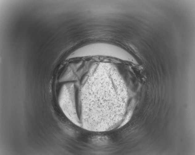 X0000070190543200606232015