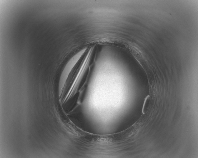 X0000070190546200606232015