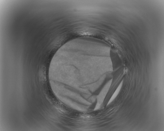 X0000070190547200606232015