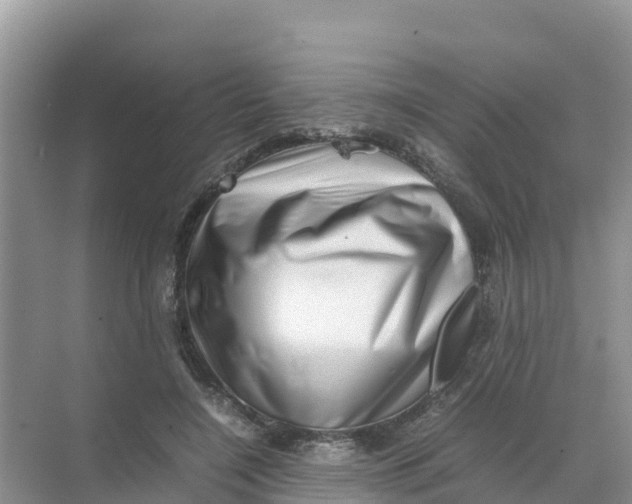 X0000070190548200606232015