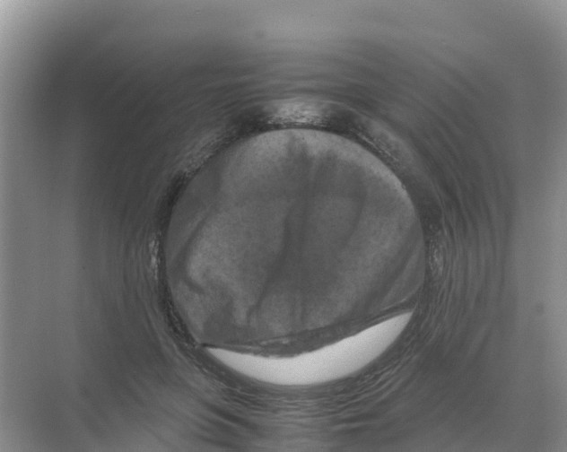 X0000070190551200606232015