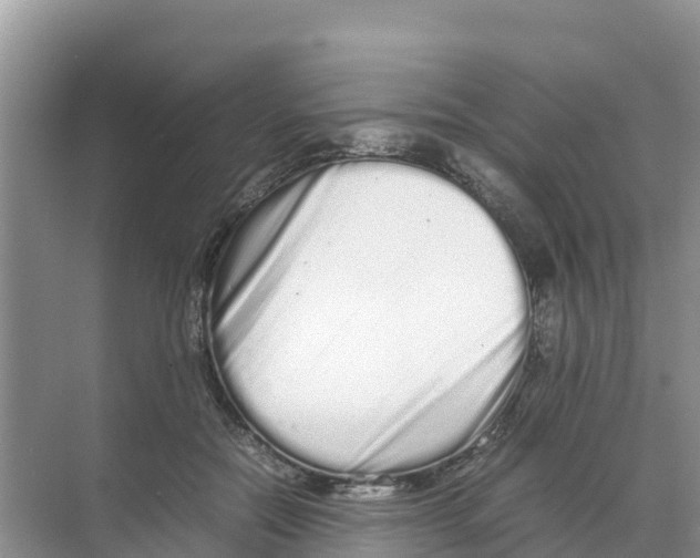 X0000070190554200606232015