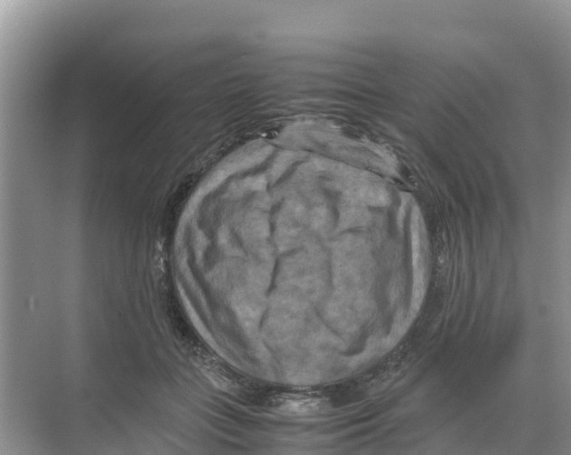 X0000070190555200606232015