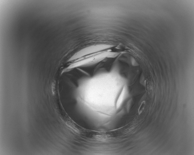 X0000070190556200606232015