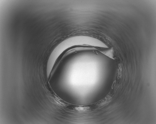 X0000070190558200606232015