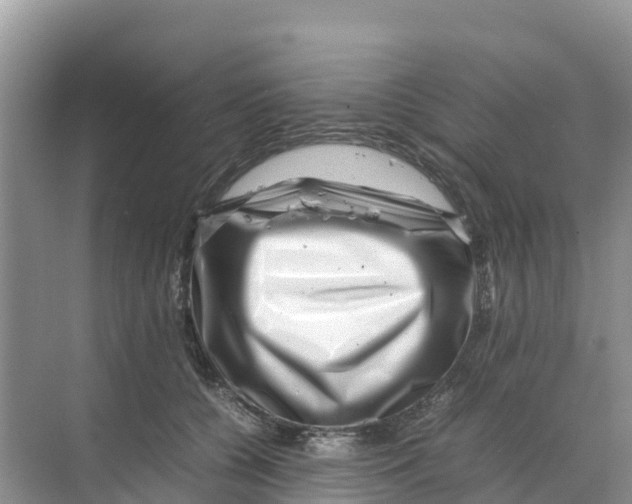 X0000070190560200606232015